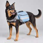 Trail Saddlebag Backpack