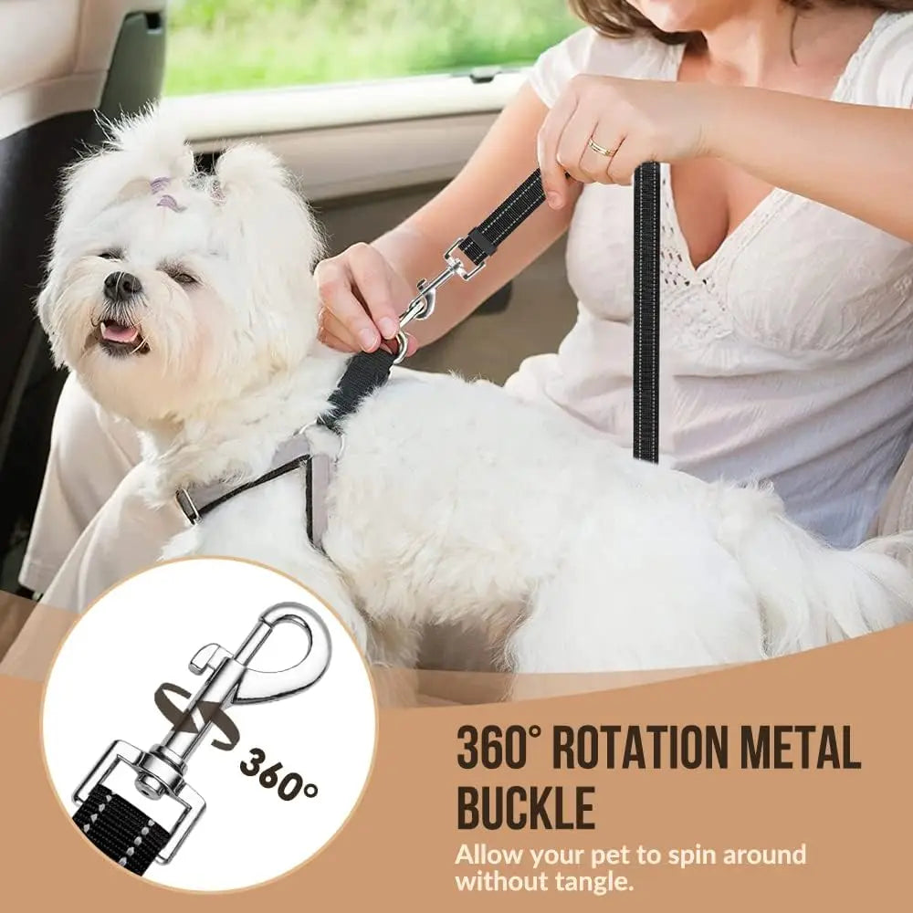 Dual Seat Belt Tether