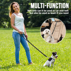 Dual Seat Belt Tether