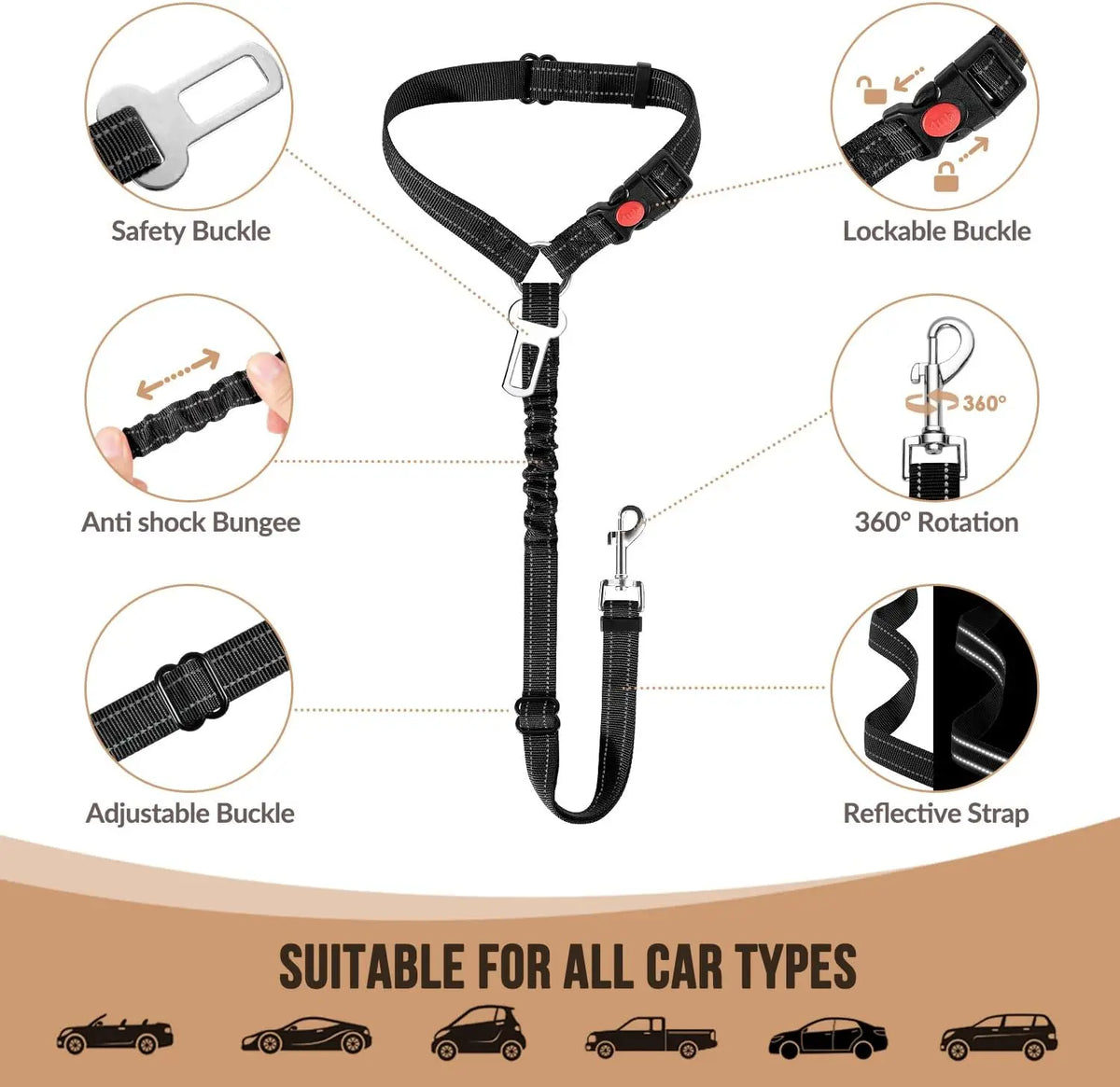 Dual Seat Belt Tether