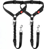 Dual Seat Belt Tether