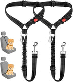 Dual Seat Belt Tether