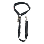 Dual Seat Belt Tether