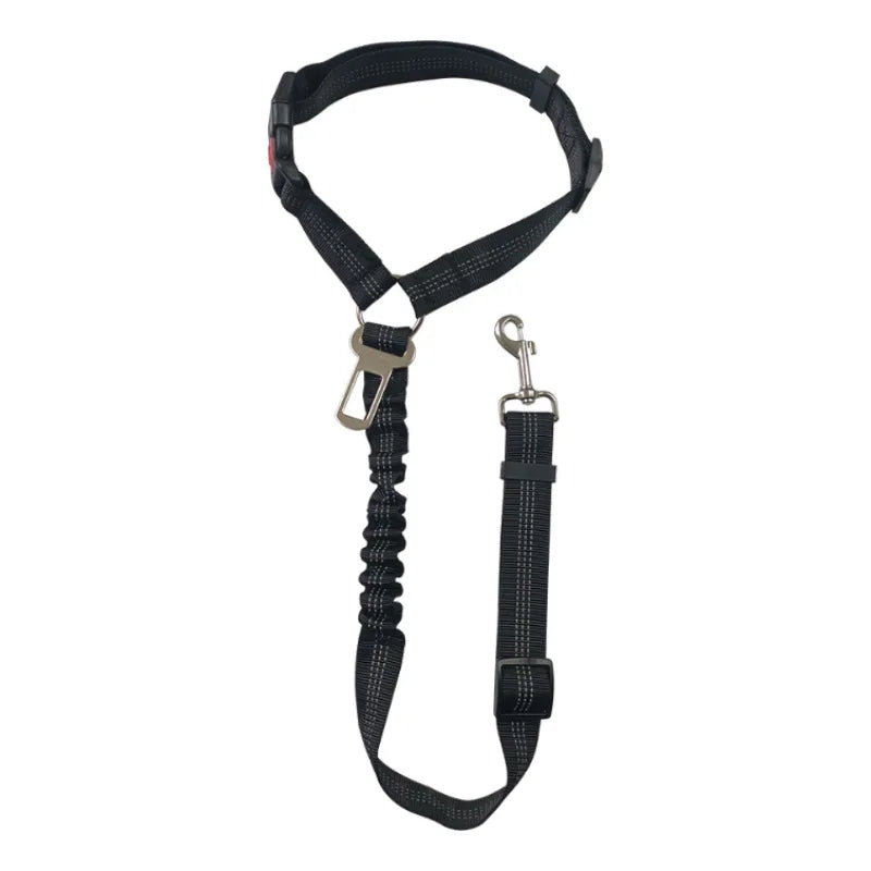 Dual Seat Belt Tether