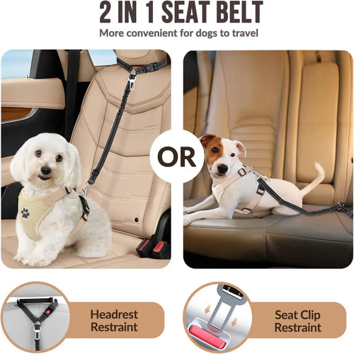 Dual Seat Belt Tether