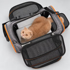Foldable Travel Carrier