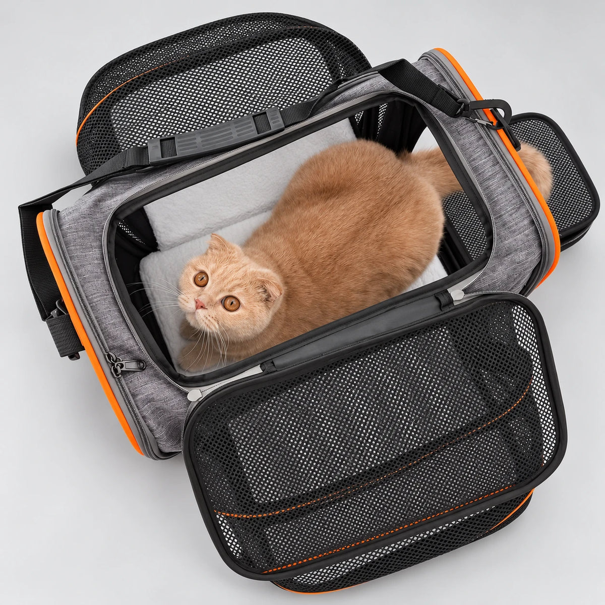 Foldable Travel Carrier