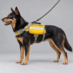 Trail Saddlebag Backpack