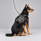 Trail Saddlebag Backpack