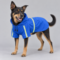Hooded Dog Raincoat
