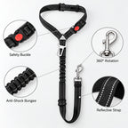 Dual Seat Belt Tether