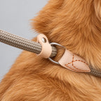 Braided Slip Lead