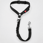 Dual Seat Belt TetherEmpiti