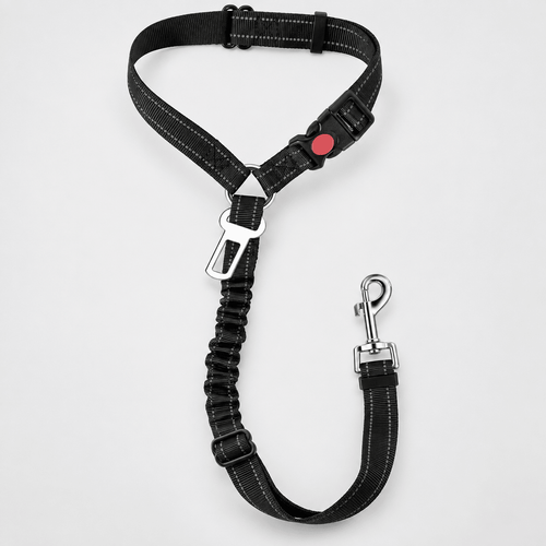 Dual Seat Belt TetherEmpiti