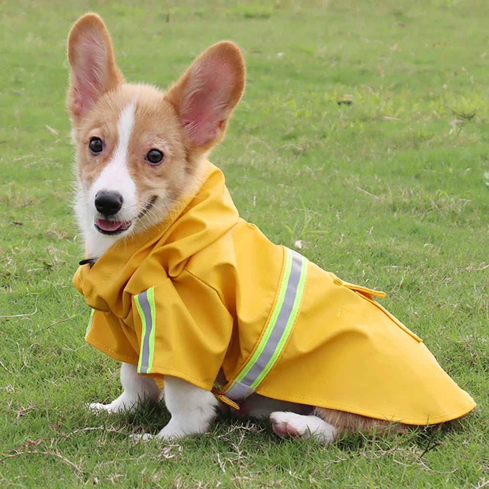 Hooded Dog RaincoatEmpiti