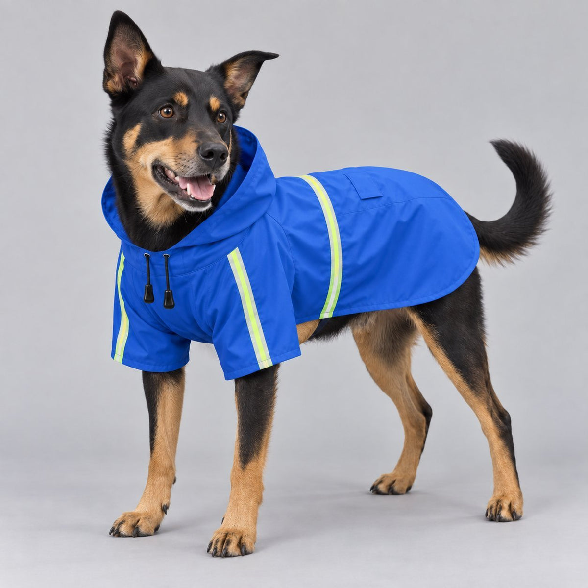 Hooded Dog RaincoatEmpiti