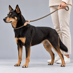 Braided Slip Lead