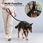 Dual Seat Belt Tether