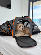 Foldable Travel Carrier
